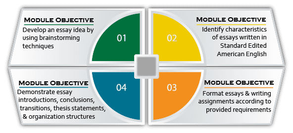 1. Develop an essay idea by using brainstorming techniques 2. Identify characteristics of essays written in Standard Edited American English. 3. Format essays and writing assignments according to provided requirements 4. Demonstrate essay introductions, conclusions, transitions, thesis statements, and organization structures